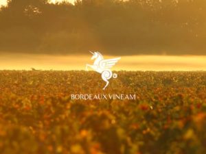 Teaser video pour Bordeaux Vineam